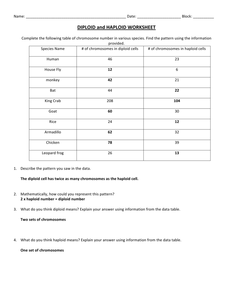 Haploid And Diploid Worksheet