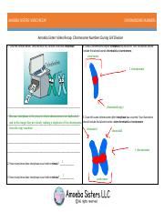 Amoeba Sisters Chromosome Numbers pdf AMOEBA SISTERS VIDEO RECAP 