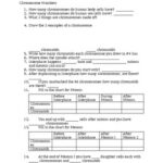 Amoeba Sisters Heredity Chromosome Number Video Worksheet TPT