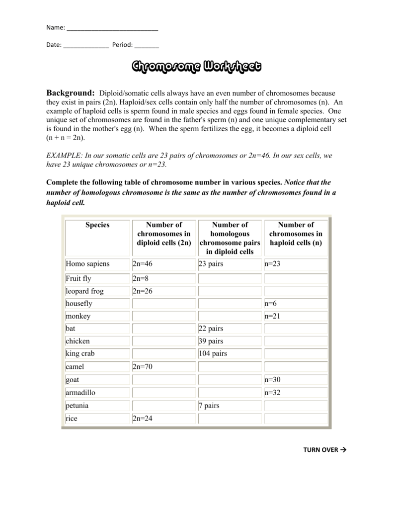 Cell Division Worksheet Chromosome Numbers Answers 894276 Free 