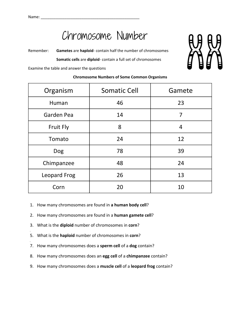 Chromosome Number Worksheet Katelyn Owens Library Formative