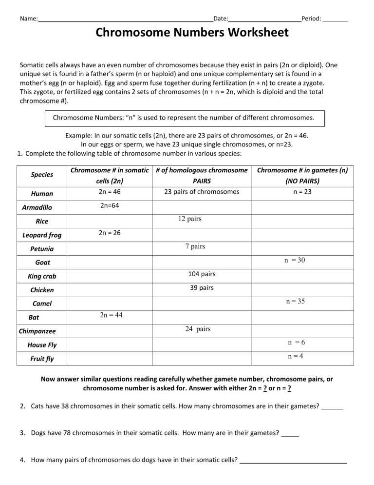 Chromosome Numbers Worksheet
