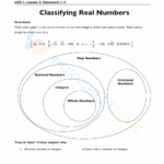 Classifying Real Numbers Worksheet Worksheets Library