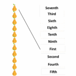 Download Positions Matching With Ordinal Numbers Worksheets