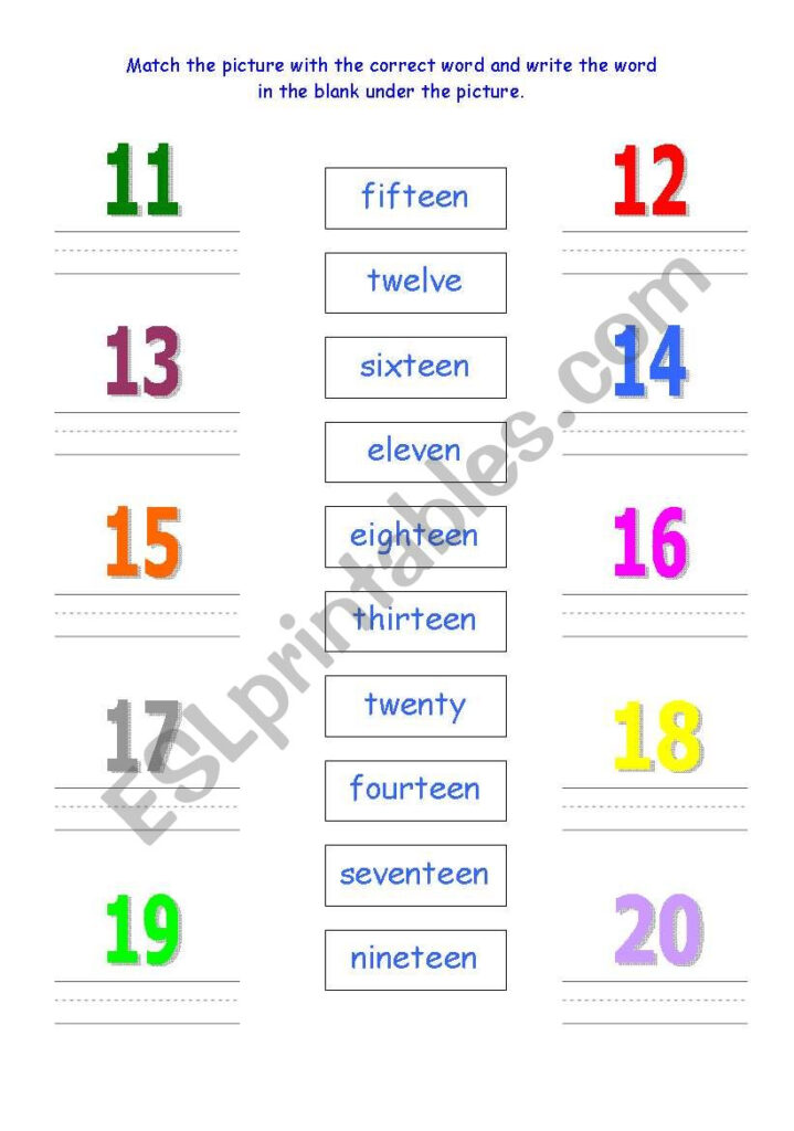 Numbers 11 20 ESL Worksheet By Becia
