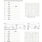 Ordinal Numbers With Answers English ESL Worksheets Pdf Doc