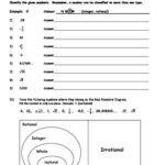 Real Numbers Classifying Worksheets Handouts Activity By Amy And